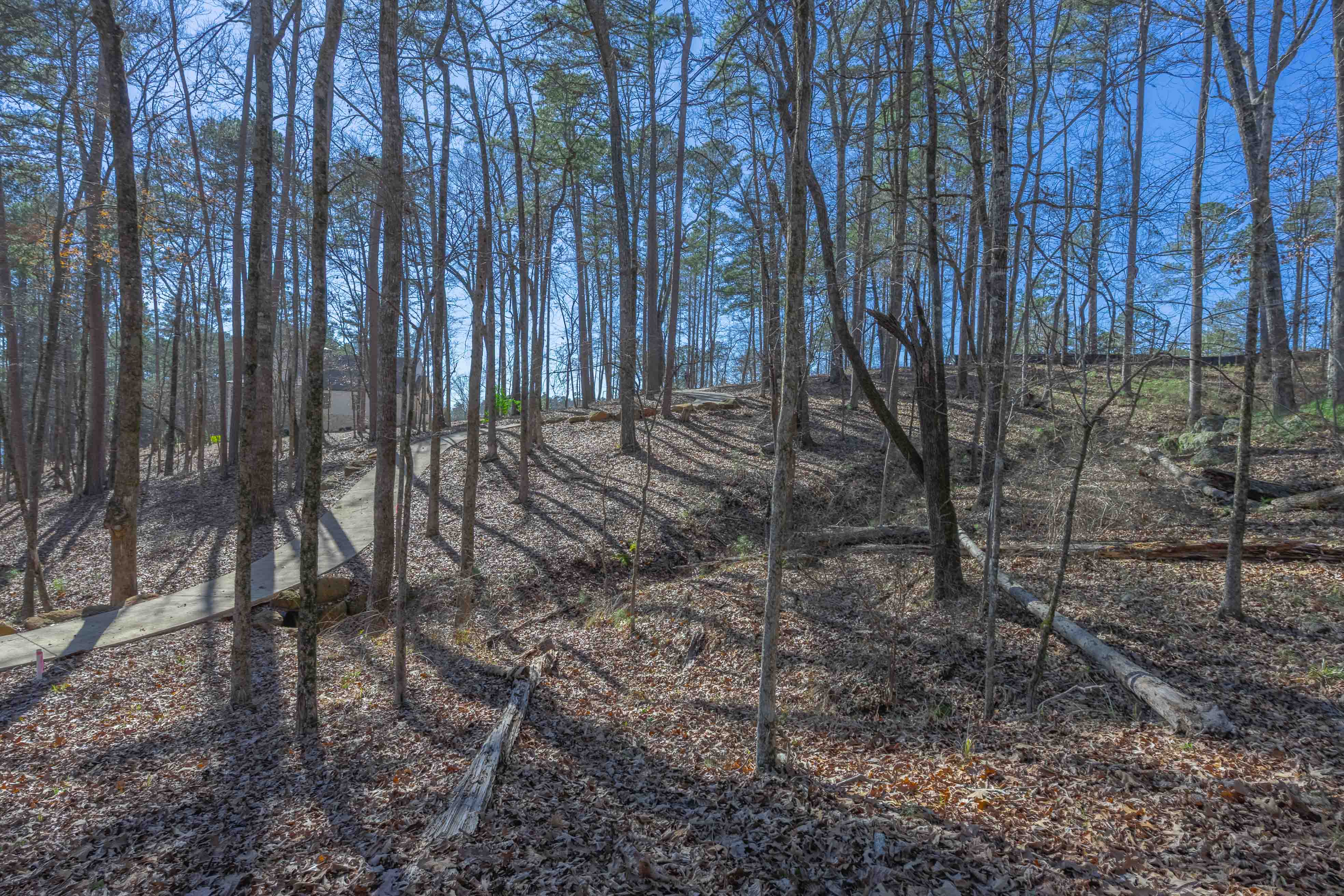 1261 Jumping Rock Drive image 9